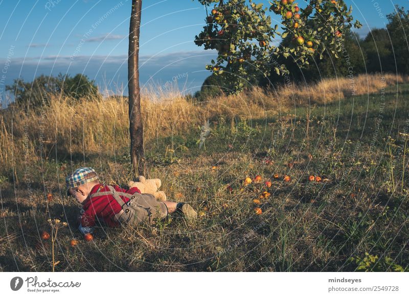 Kleiner Junge in Lederhosen liegt in einer Wiese Kindheit 1 Mensch 1-3 Jahre Kleinkind Natur Pflanze Apfelbaum Garten Krachlederne Mütze fallen Spielen toben