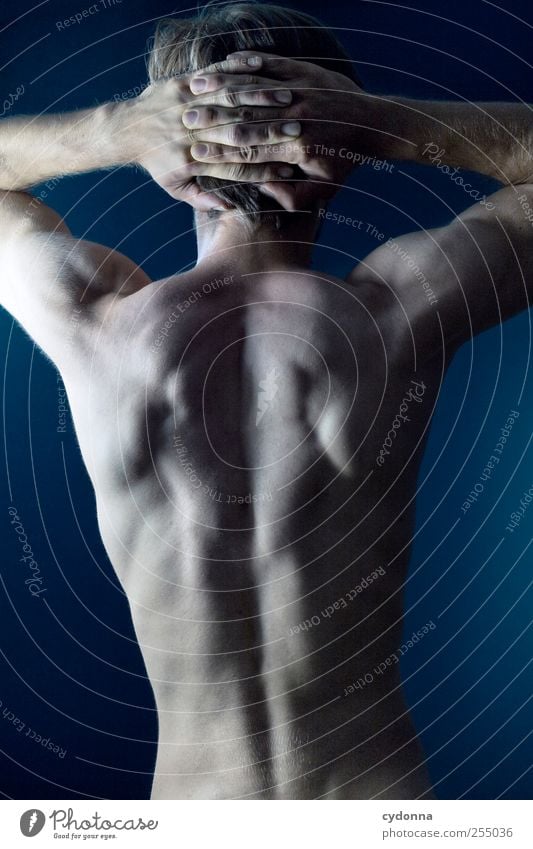 Ein schöner Rücken kann auch entzücken Lifestyle Gesundheit Leben Sport Fitness Sport-Training Mensch Mann Erwachsene Körper Haut 18-30 Jahre Jugendliche