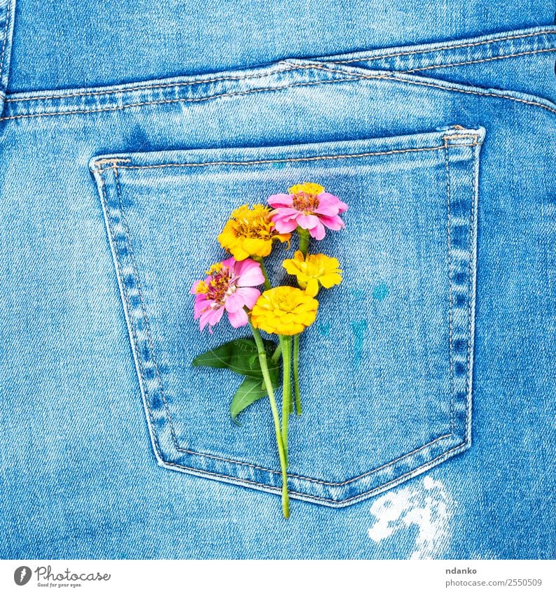 Blumen an der Gesäßtasche Stil Mode Bekleidung Jeanshose Stoff Blühend blau gelb Farbe Tradition Jeansstoff Tasche Rücken Konsistenz Hintergrund lässig Textil