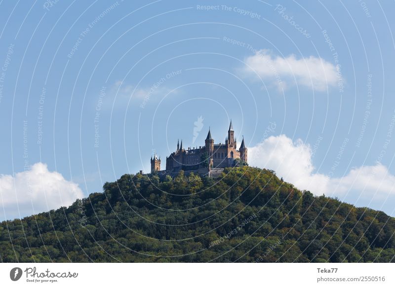 Zu Hohenzollern Sommer Kleinstadt Stadt Burg oder Schloss Abenteuer ästhetisch Burg Hohenzollern Farbfoto Außenaufnahme Menschenleer