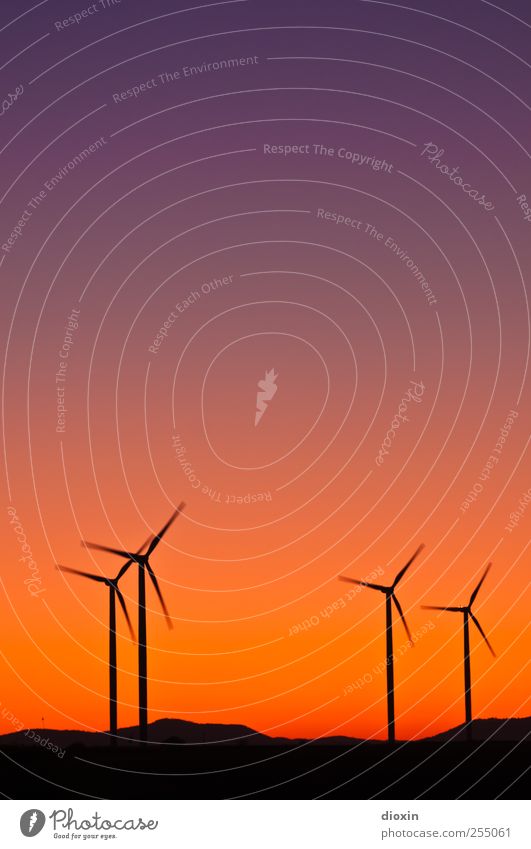 Farbwind [4] High-Tech Energiewirtschaft Erneuerbare Energie Windkraftanlage Energiekrise Umwelt Landschaft Himmel Wolkenloser Himmel Sonnenaufgang