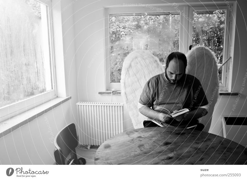 Engel lesen Tisch Raum Bildung Mensch maskulin Mann Erwachsene 1 30-45 Jahre Buch Fenster Flügel Glas sitzen Traurigkeit außergewöhnlich Trauer Einsamkeit