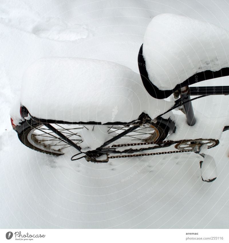Schneemobil Winter Wetter Verkehrsmittel Fahrrad kalt schwarz weiß Farbfoto Außenaufnahme Menschenleer Textfreiraum unten Tag Starke Tiefenschärfe