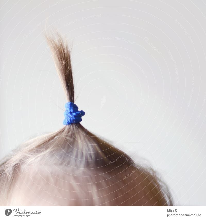 longzodert Baby Kleinkind Kopf Haare & Frisuren 0-12 Monate 1-3 Jahre blond Zopf klein Haargummi Farbfoto Nahaufnahme Textfreiraum rechts Textfreiraum oben