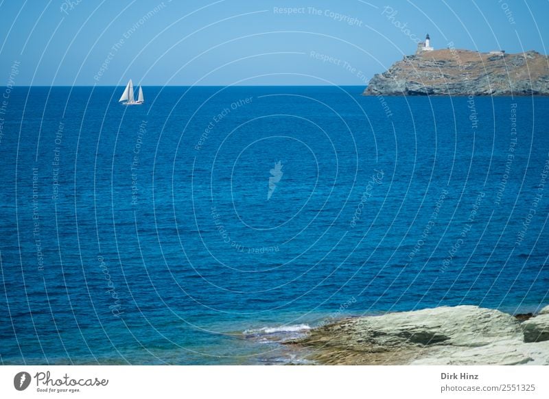Segler am Cap Corse / Korsika Ferien & Urlaub & Reisen Tourismus Ausflug Ferne Freiheit Sommer Sommerurlaub Meer Insel Wellen Umwelt Natur Landschaft Wasser