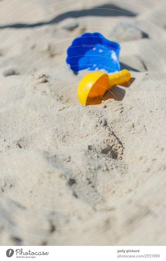 Schüppchen und Muschel Förmchen am Strand Lifestyle Familie & Verwandtschaft Kindheit Jugendliche Leben Umwelt Natur Sand Sommer Erholung Inspiration