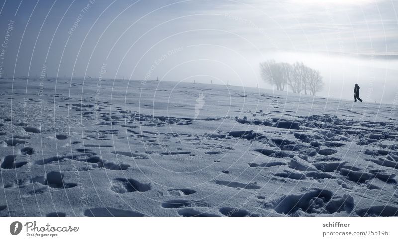 Nebel Buchen 1 Mensch Natur Landschaft Sonnenlicht Winter Schönes Wetter Eis Frost Schnee Baum Hügel Berge u. Gebirge Gipfel kalt Einsamkeit Wäldchen