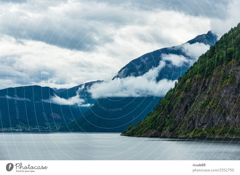Blick auf den Aurlandsfjord in Norwegen Erholung Ferien & Urlaub & Reisen Tourismus Berge u. Gebirge Natur Landschaft Wasser Wolken Felsen Fjord