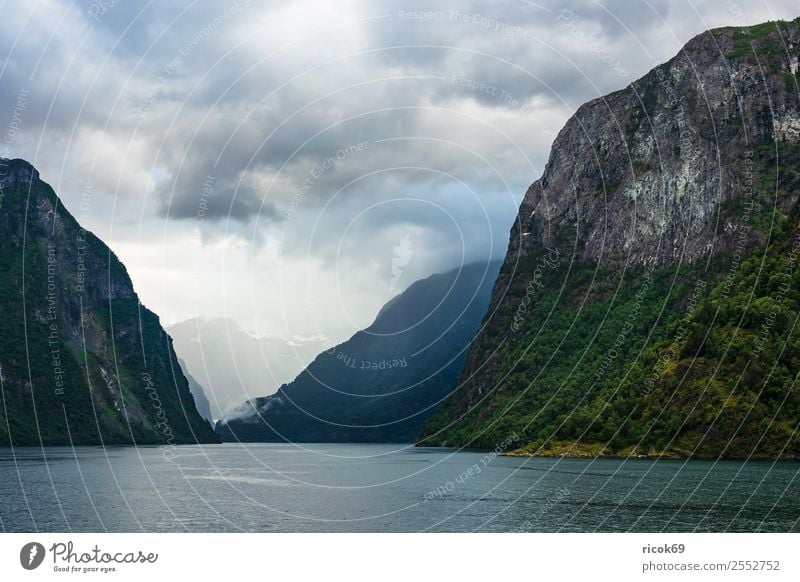 Blick auf den Aurlandsfjord in Norwegen Erholung Ferien & Urlaub & Reisen Tourismus Berge u. Gebirge Natur Landschaft Wasser Wolken Felsen Fjord