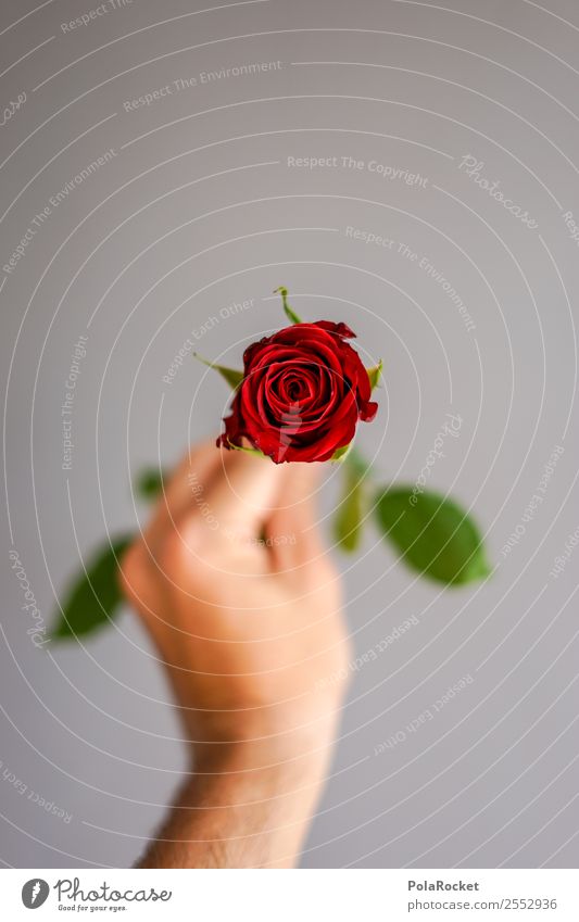 #S# Rote Rose III Glück rote Rose grün grau Hand Muster Symbole & Metaphern Freude Liebe schenken Frühlingsgefühle Valentinstag Romantik Überraschung