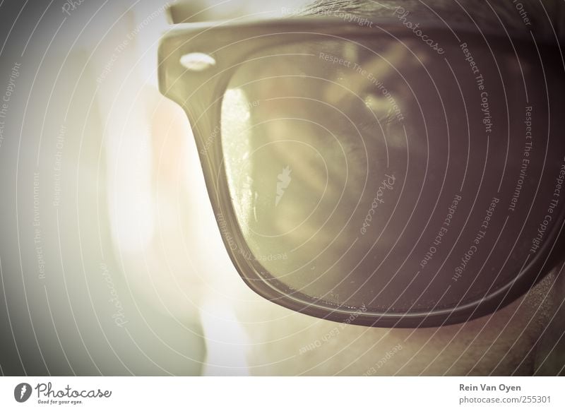 Sonnenbrille Mensch maskulin Mann Erwachsene Auge 1 selbstbewußt Coolness Brillenträger Sonnenlicht Sommer Sommerurlaub Typ schwarz Gesichtsausschnitt