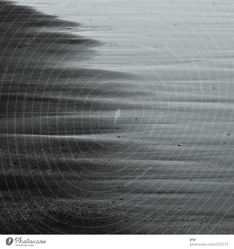 grauzone Sand Wasser Küste Meer Surrealismus Streifen feucht nass trocken Ebbe seicht Strand Nordsee Schwarzweißfoto Außenaufnahme Detailaufnahme abstrakt