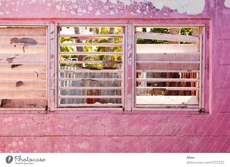 Rosige Aussichten Cabarete Dominikanische Republik Haus Hütte Ruine Gebäude Fenster alt rosa ästhetisch Verfall Farbfoto Außenaufnahme Strukturen & Formen