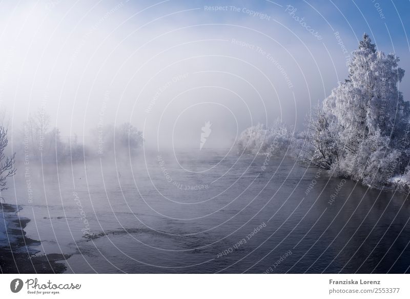 fog Natur Landschaft Wasser Winter Nebel Seeufer Bach blau einzigartig elegant geheimnisvoll Farbfoto Außenaufnahme Menschenleer Textfreiraum oben
