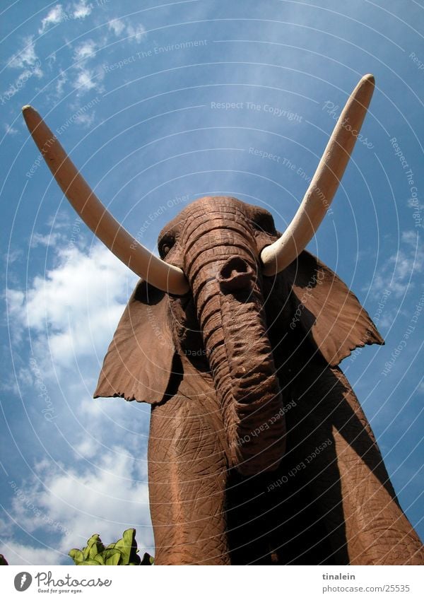 Steinjumbo Elefant Afrika Wolken Skulptur braun Rüssel Gebiss Himmel Schatten Perspektive