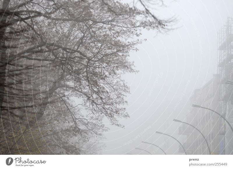 für euch soll`s bunte bilder regnen schlechtes Wetter Nebel Baum Hauptstadt Haus Gebäude Fassade grau Ast Laterne Farbfoto Außenaufnahme Textfreiraum oben