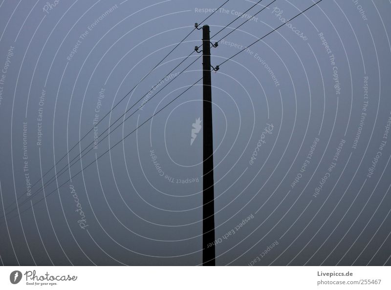 Stromversorgung auf dem Land Energiewirtschaft Kabel schlechtes Wetter Nebel Holz grau Nebelstimmung Farbfoto Außenaufnahme Morgen Morgendämmerung