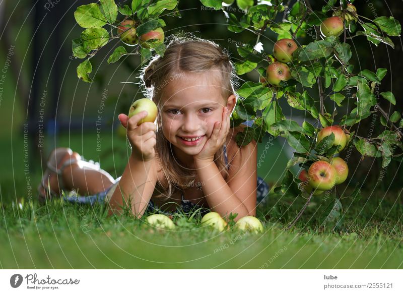 Apfelmädchen Lebensmittel Frucht Ernährung Bioprodukte Vegetarische Ernährung Glück Gesundheit Gartenarbeit Landwirtschaft Forstwirtschaft Mädchen Kindheit 1