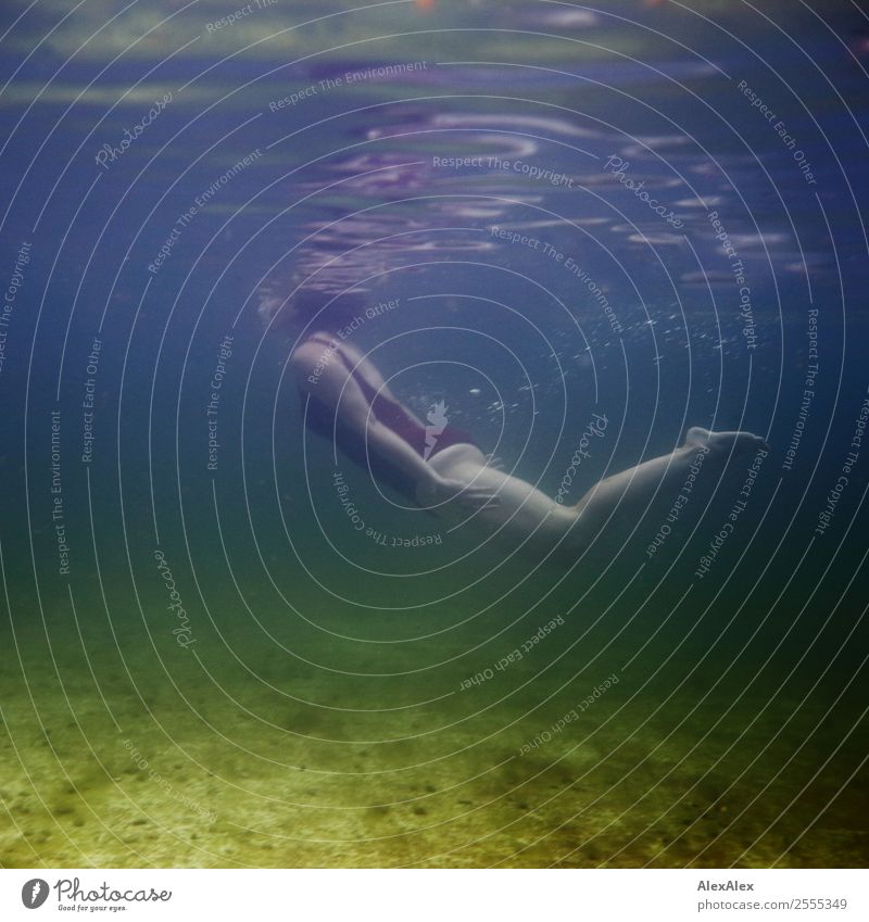 Unterwasserportrait einer jungen Frau im Badeanzug, die gerade wieder auftaucht Lifestyle Stil Freude schön sportlich Leben Sommer Sommerurlaub Schwimmbad