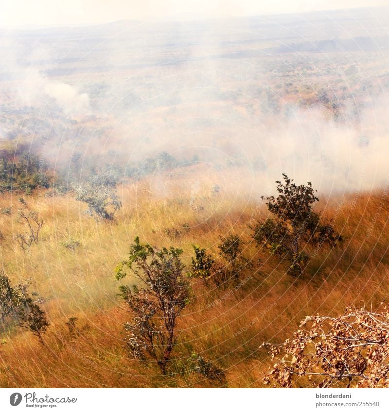 heiße Savanne! Umwelt Natur Luft Wolken Klimawandel Wind Pflanze Gras Sträucher Feld bedrohlich Abenteuer Wärme Rauch Feuer Steppe Flächenbrand Gemälde Ferne