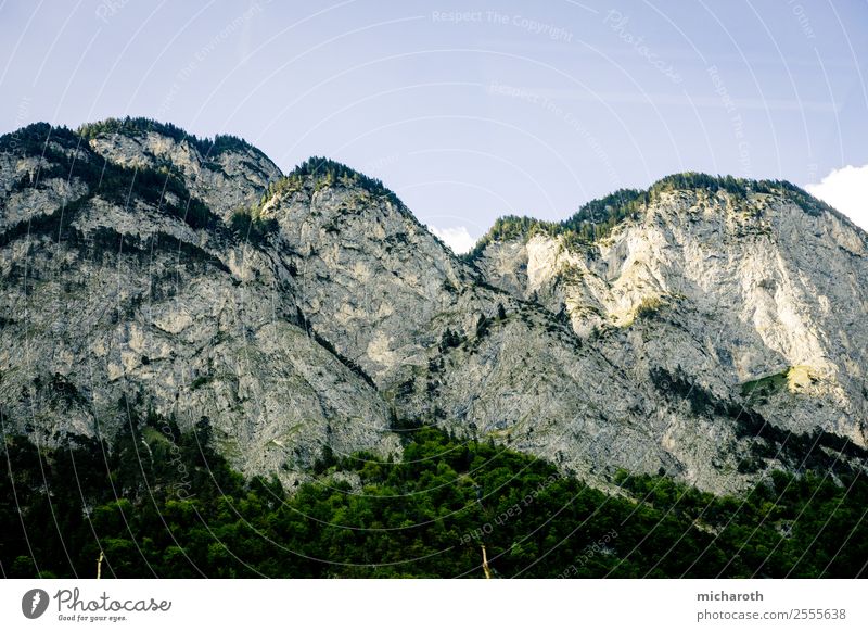 Granit im grünen Pelz Freizeit & Hobby Ferien & Urlaub & Reisen Tourismus Ausflug Abenteuer Sommerurlaub Klettern Bergsteigen wandern Umwelt Natur Landschaft