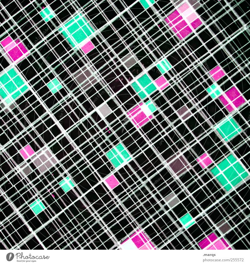 Web elegant Stil Design Dekoration & Verzierung Linie außergewöhnlich Coolness trendy einzigartig grün rosa schwarz chaotisch Farbe Fortschritt Netzwerk Zukunft