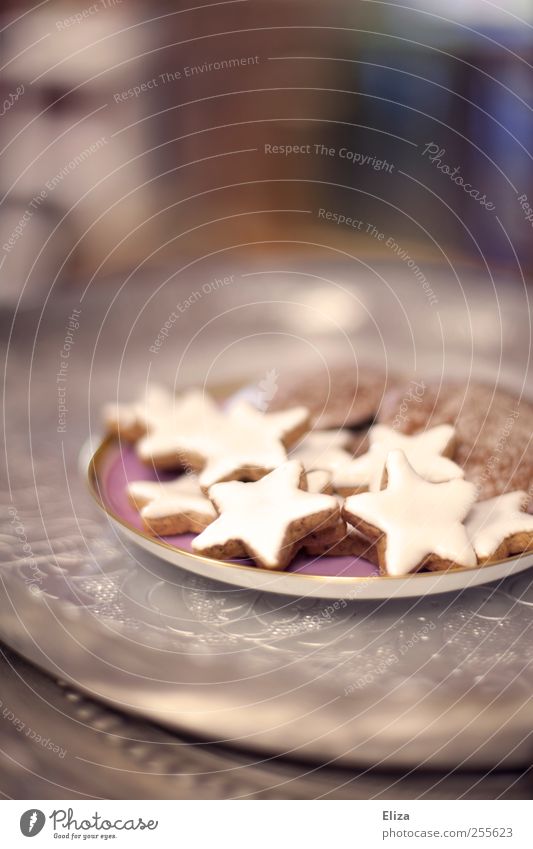 Naschen erlaubt Kaffeetrinken Plätzchen Zimtstern Lebkuchen lecker Weihnachten & Advent Ernährung schön Backwaren weihnachtsteller Süßwaren Weihnachtsgebäck