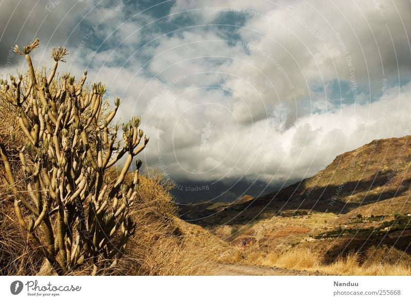 Sierra Natur Landschaft Unendlichkeit trocken Steppe Berge u. Gebirge Gran Canaria Kaktus Spanien Wolken staubig wandern Western Felsen Farbfoto Gedeckte Farben