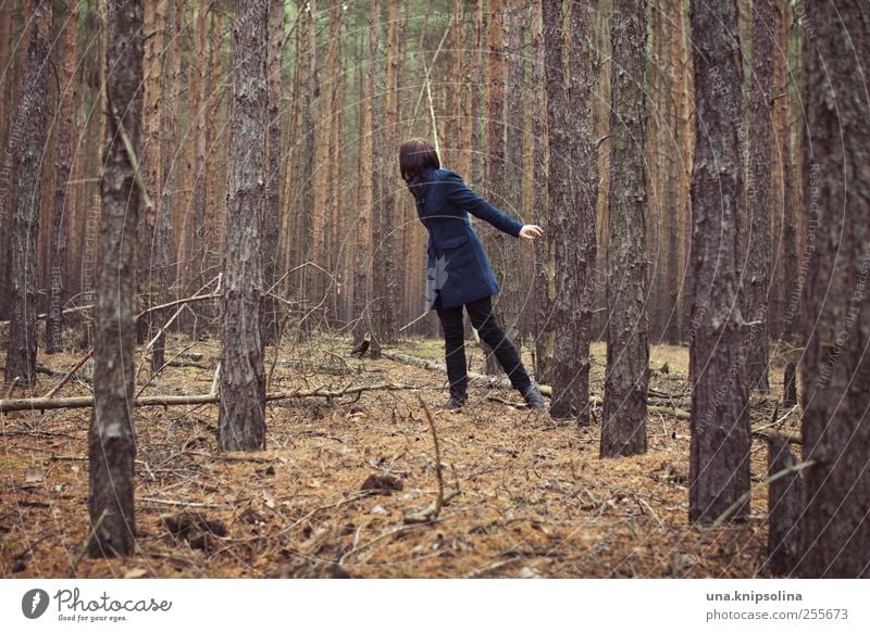 vom suchen und gefunden werden Junge Frau Jugendliche Erwachsene 1 Mensch Umwelt Natur Pflanze Baum Wald Nadelwald Fichtenwald Mantel brünett Bewegung drehen