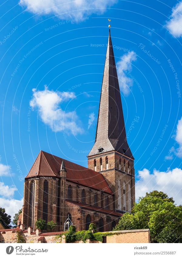 Blick auf die Petrikirche in Rostock Tourismus Wolken Baum Stadt Turm Gebäude Architektur Sehenswürdigkeit alt historisch blau Glaube Religion & Glaube