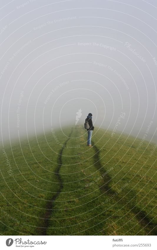 mädchen, nebel & deichweg 1 Mensch Natur Landschaft Herbst Winter Nebel Gras stehen Dunst Spuren grün Einsamkeit nachdenklich frei Deich Nebelwand