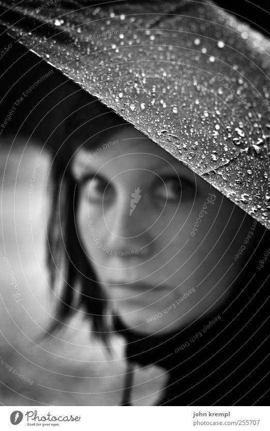300 | Perlen feminin Junge Frau Jugendliche Gesicht 1 Mensch 18-30 Jahre Erwachsene Regen Regenschirm Tropfen Blick träumen Traurigkeit Vertrauen Schutz