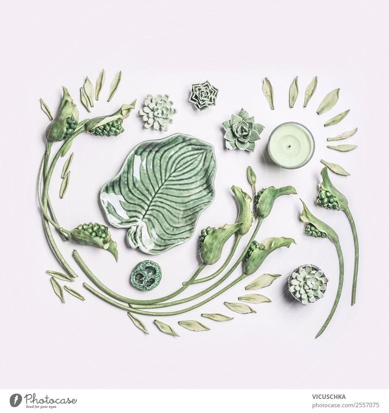 Grüne Spa Wellness Composing auf weiß Lifestyle kaufen Stil Design schön Kosmetik Gesundheit Natur Pflanze Blume Dekoration & Verzierung Ornament trendy