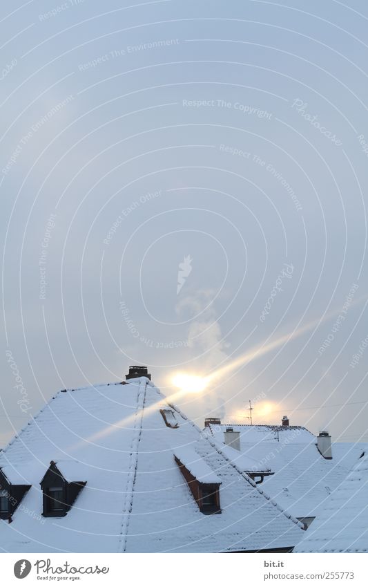 die Nikolaus-Propellermaschine im Landeanflug Häusliches Leben Umwelt Luft Horizont Winter Klima Nebel Eis Frost Schnee Dorf Kleinstadt Haus Einfamilienhaus