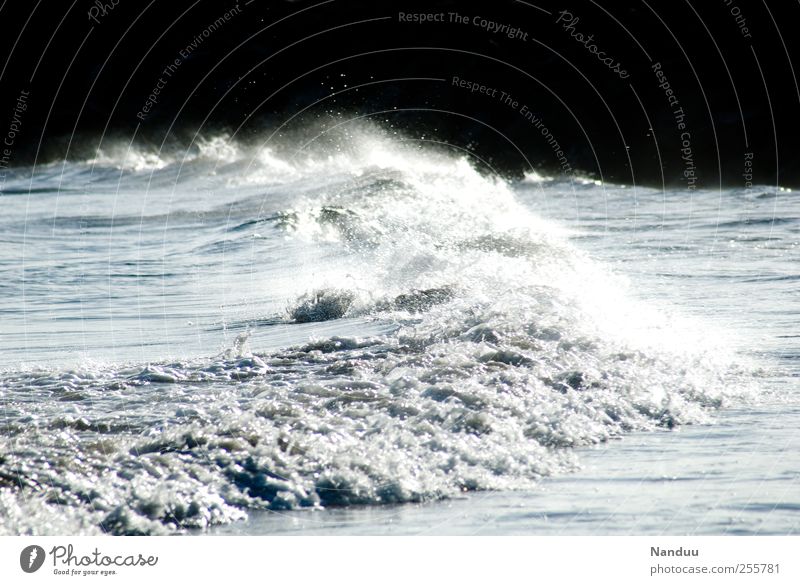 Ein Bildermeer Umwelt ästhetisch Meer Wellen Brandung Kraft Energie Gischt Wasser Farbfoto Gedeckte Farben Außenaufnahme