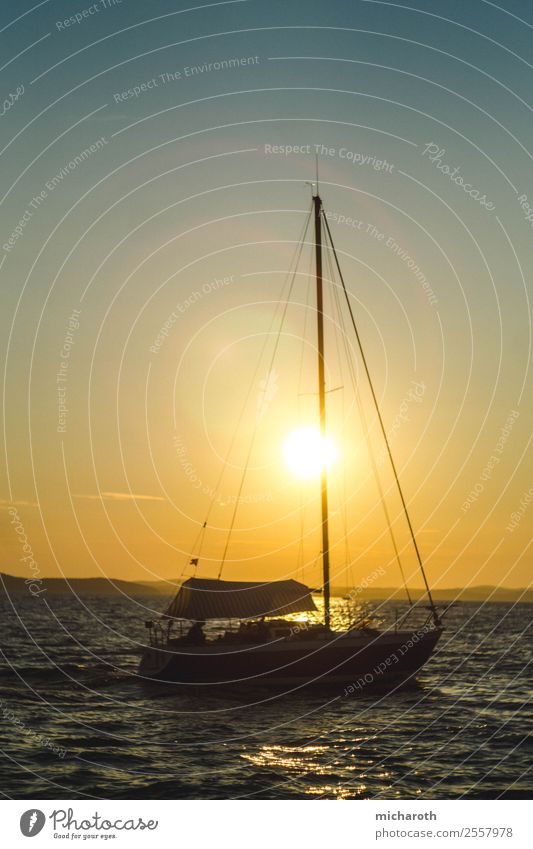 Segelboot in der Sonne Lifestyle Freude Glück Gesundheit Zufriedenheit Erholung Ferien & Urlaub & Reisen Tourismus Ausflug Abenteuer Ferne Freiheit Kreuzfahrt