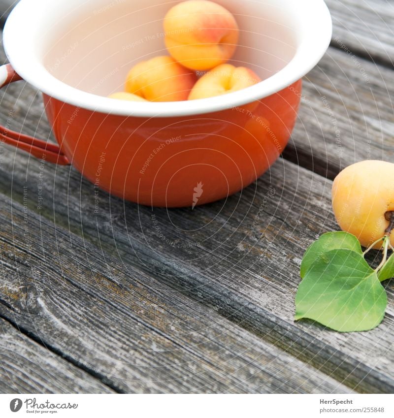 Marillen II Lebensmittel Frucht Schalen & Schüsseln Holz Metall ästhetisch frisch lecker gelb genießen Aprikose Vitamin Gesunde Ernährung Gesundheit