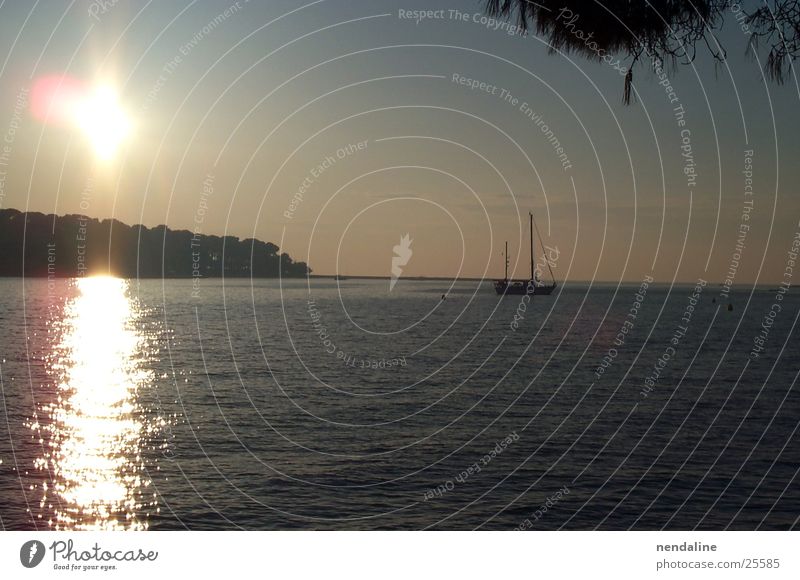 Sommerabend Sonnenuntergang See Wasserfahrzeug Segelboot Wals-Siezenheim Romantik Reflexion & Spiegelung Himmel Lanschaft