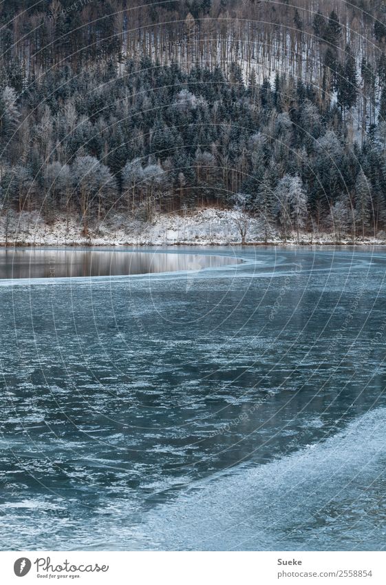 Halbgefrorener See in idyllischer Winterlandschaft Natur Baum Nadelbaum Gebirgssee Seeufer Menschenleer Idylle Frost Eis Landschaft Schnee Wald