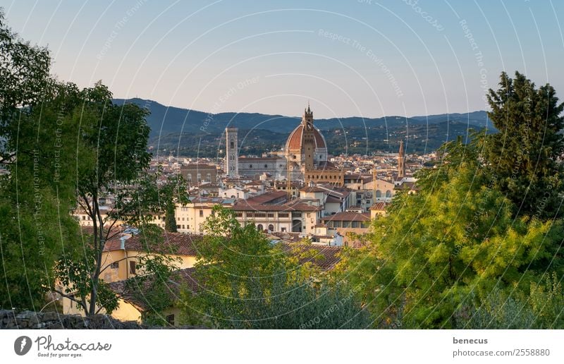 Blick auf Florenz Italien Europa Stadt Kirche Dom Turm Bauwerk Gebäude Architektur Kuppeldach Sehenswürdigkeit Wahrzeichen schön braun grün Warmherzigkeit