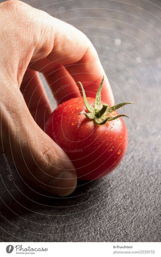 gartenfrische Tomate Lebensmittel Gemüse Bioprodukte Gesundheit Gesunde Ernährung Hand Finger wählen berühren Bewegung rund rot genießen Wassertropfen Ernte