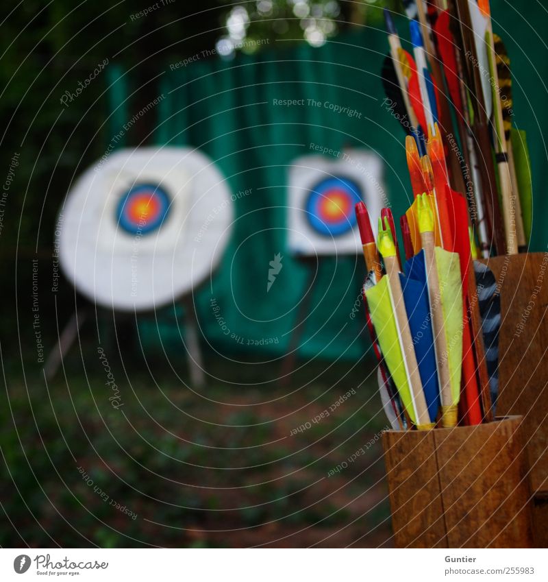 Choose your target Sport blau braun mehrfarbig gelb grün rot schwarz weiß Bogensport Zielscheibe 2 Pfeile Feder Fangnetz Waldboden ehrgeizig Röhren Baum