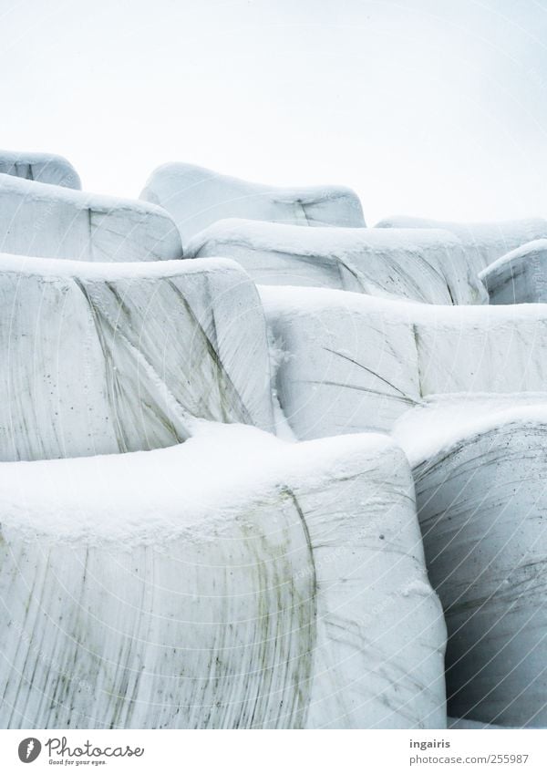 Wintervorrat Landwirtschaft Forstwirtschaft Himmel Eis Frost Schnee Hügel bedrohlich blau grau schwarz weiß Silage Heuballen Verpackung verpackt auftürmen