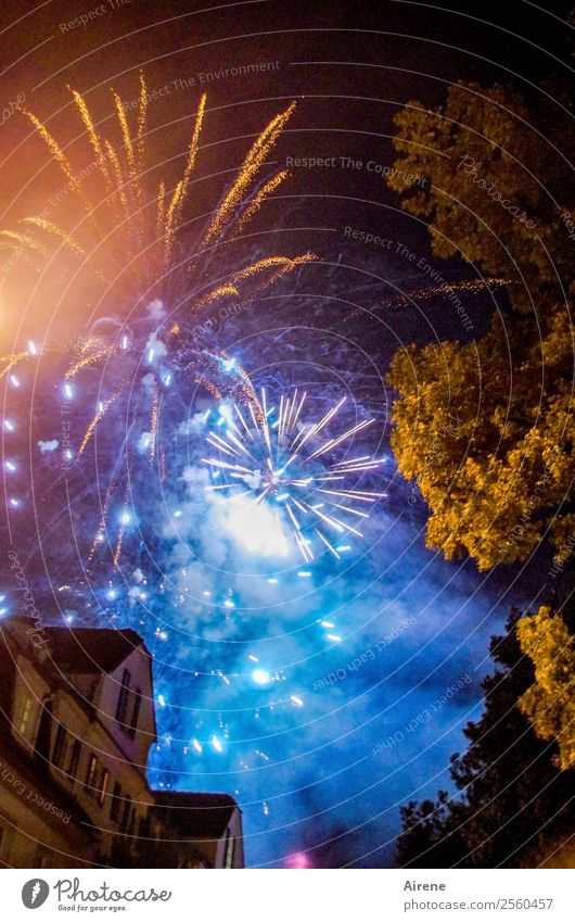 Rauchentwicklung blau gelb Veranstaltung Feste & Feiern Silvester u. Neujahr Jahrmarkt Feuerwerk Himmel Nachthimmel Altstadt Haus glänzend leuchten Fröhlichkeit