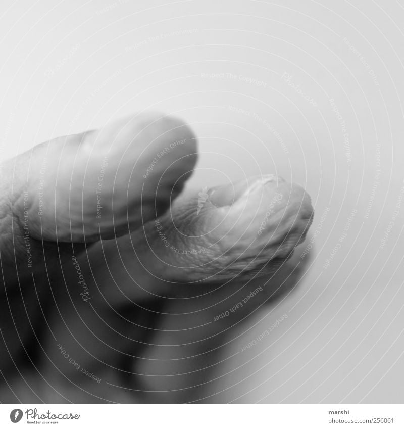 Schrumpelfinger Mensch Hand Finger alt verschrumpelt Haut Schwarzweißfoto Nahaufnahme Detailaufnahme Makroaufnahme Unschärfe