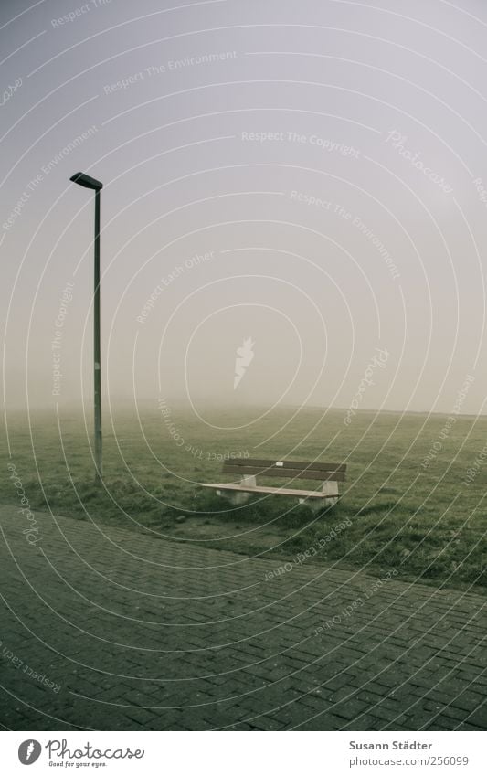 am Hafen | Spiekeroog Landschaft Nebel Nordsee stehen Bank Laterne Fußweg Deich Wiese Nebelwand Nebelmeer Dunst Farbfoto Außenaufnahme Menschenleer Dämmerung