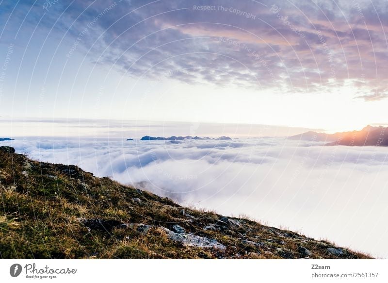 Sonnenaufgang / Kreuzjoch Berge u. Gebirge Feste & Feiern Umwelt Natur Landschaft Himmel Wolken Sonnenuntergang Sommer Schönes Wetter Alpen Gipfel gigantisch