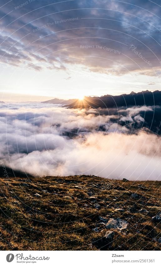 Sonnenaufgang | Pitztal | Alpen Ferien & Urlaub & Reisen Abenteuer Berge u. Gebirge Feste & Feiern Natur Landschaft Himmel Wolken Sonnenuntergang Sonnenlicht