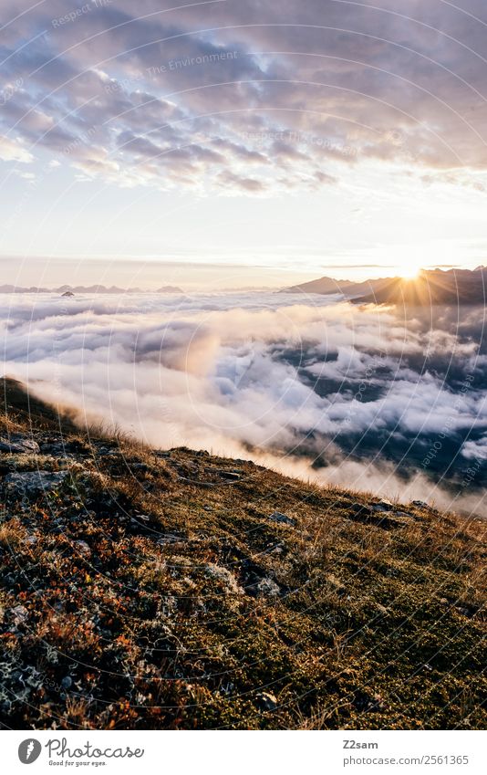Pitztal | Sonnenaufgang | Kreuzjoch Berge u. Gebirge wandern Natur Landschaft Himmel Wolken Sonnenuntergang Sommer Schönes Wetter Alpen Gipfel fantastisch
