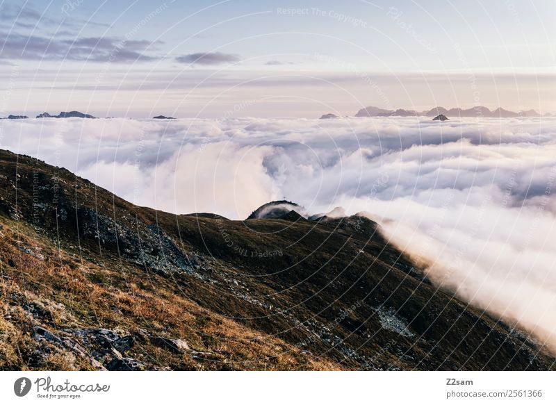 Venet Gipfel | Inntal | Sonnenaufgang Berge u. Gebirge Natur Landschaft Himmel Wolken Sommer Schönes Wetter Alpen fantastisch gigantisch Unendlichkeit natürlich